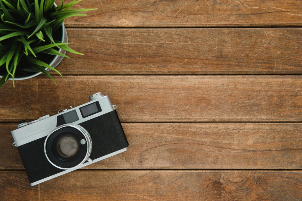 Retro camera and potted plant on wooden surface with copy space.